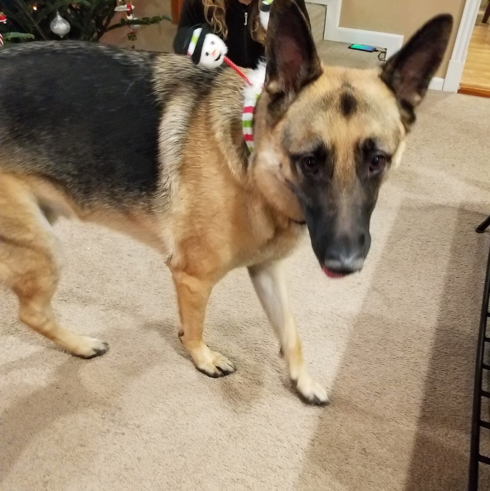 Meet your Posher, Jessica